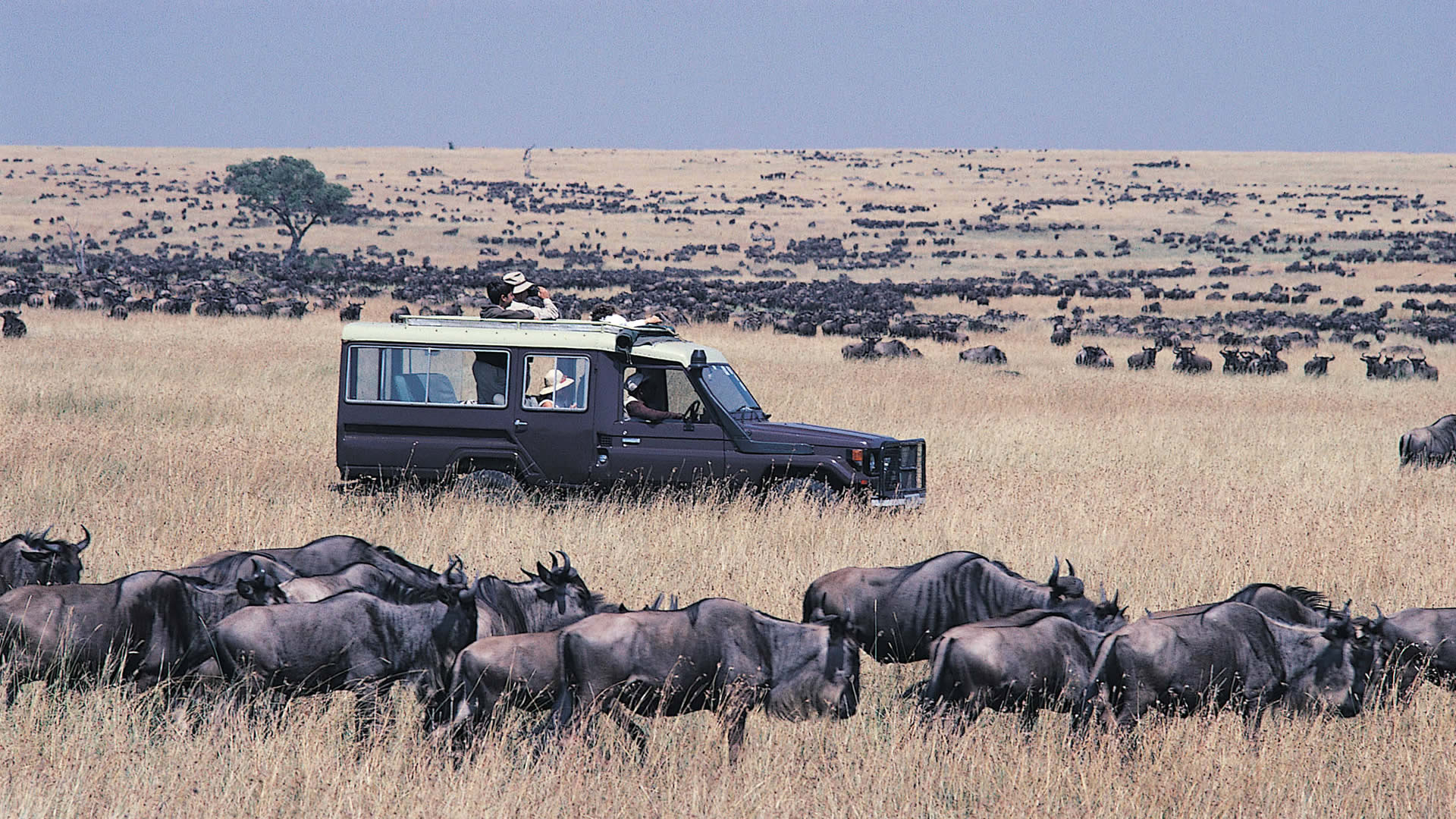 Masai Mara National Reserve lodges