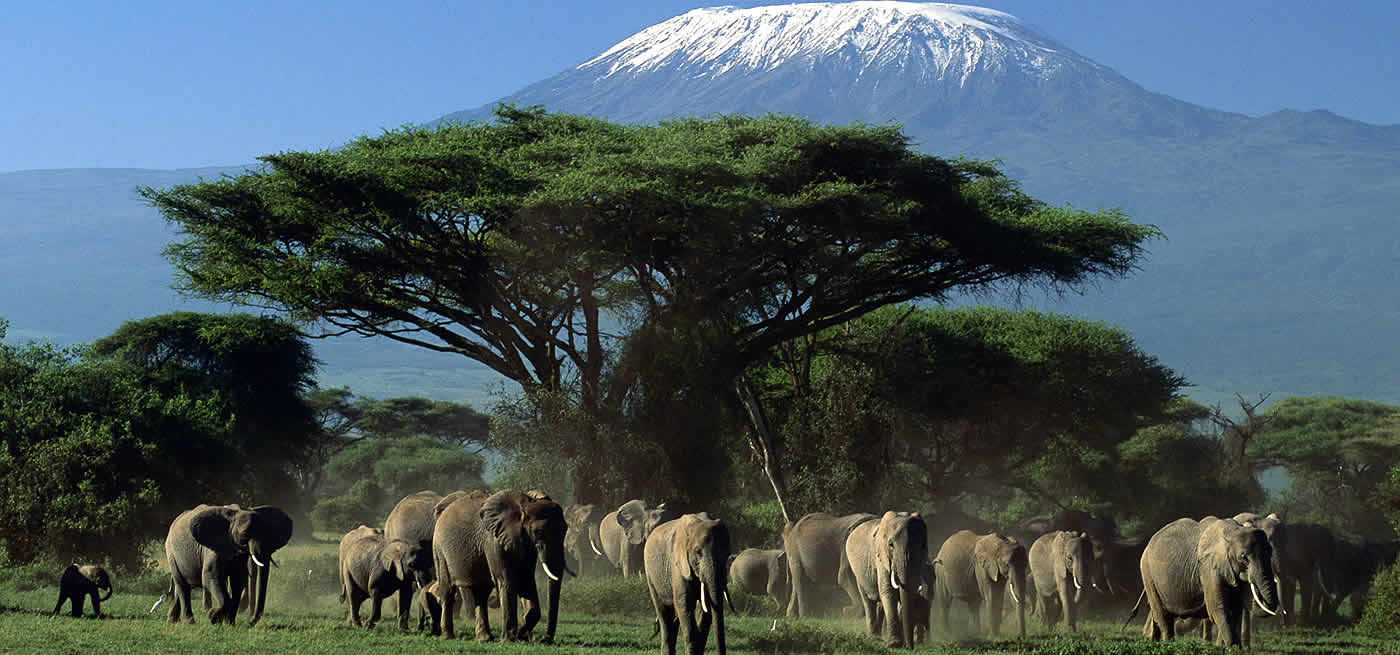 Amboseli National Park lodges