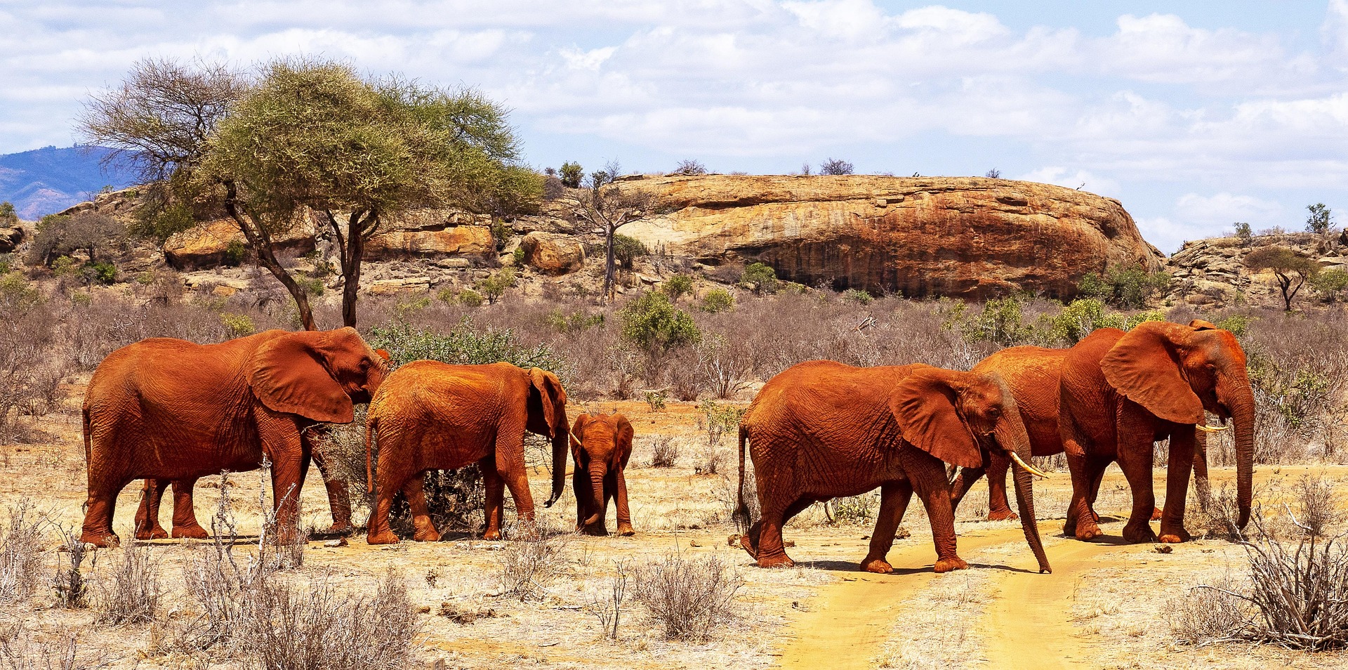 Grand Mara Migration Safari